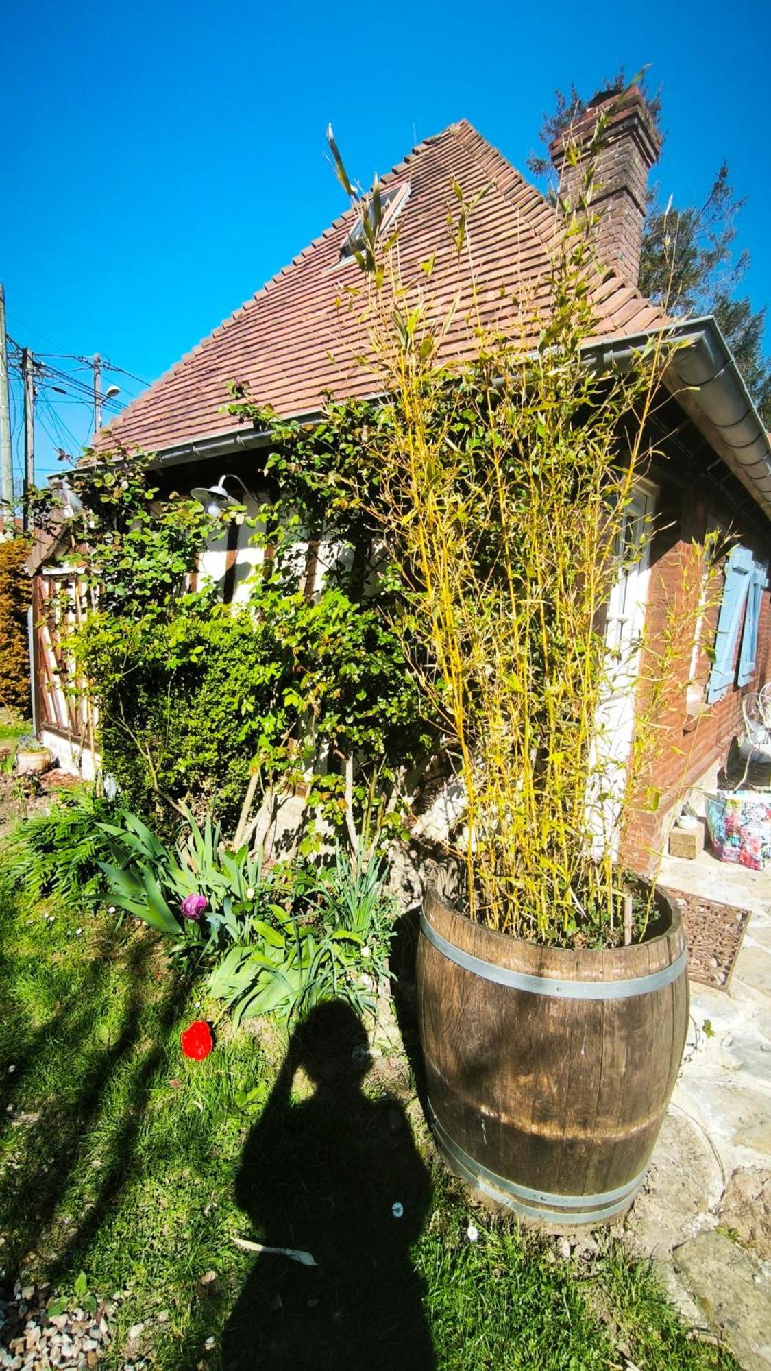 La Longere D'Auberville Exterior photo